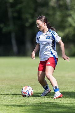 Bild 204 - wBJ Hamburger SV - VfL Wolfsburg : Ergebnis: 5:1